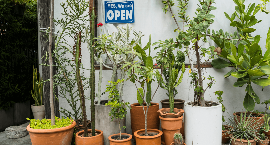 The Art of Questioning: Unlocking New Perspectives